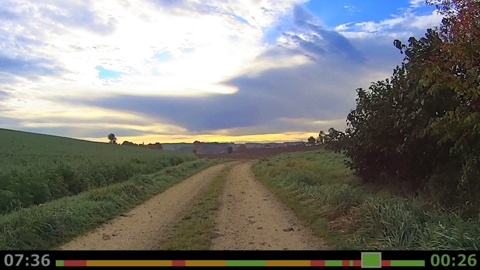 Quiet Morning Cycling
